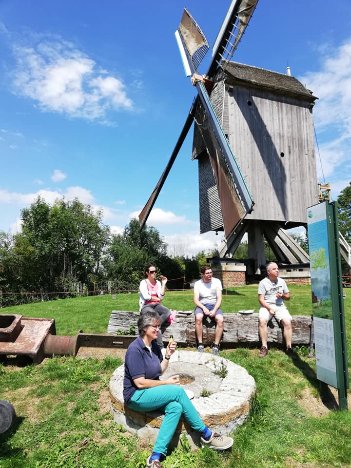 Picknick aan de Buysesmolen in Sint-Antelinks