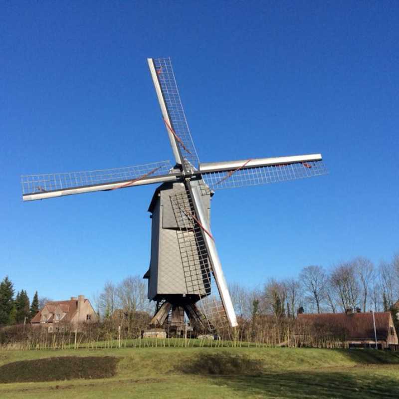 De Kruiskoutermolen van Mere in de rouwstand. ©Eddy De Saedeleer, Facebook