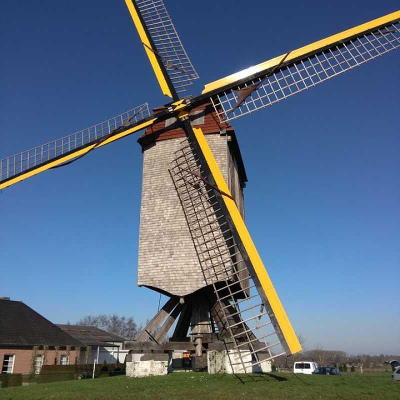 Provinciale molen van Balegem in de rouw. ©Guy Suy, Facebook