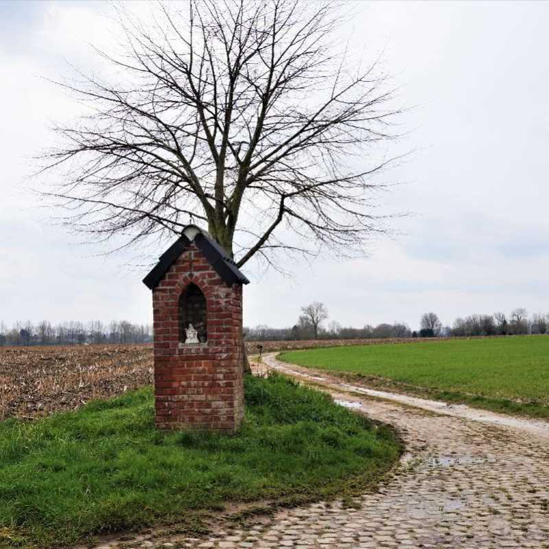 Kapel aan Pardassenhoek in Sint-Lievens-Esse ©Magda De Leeuw